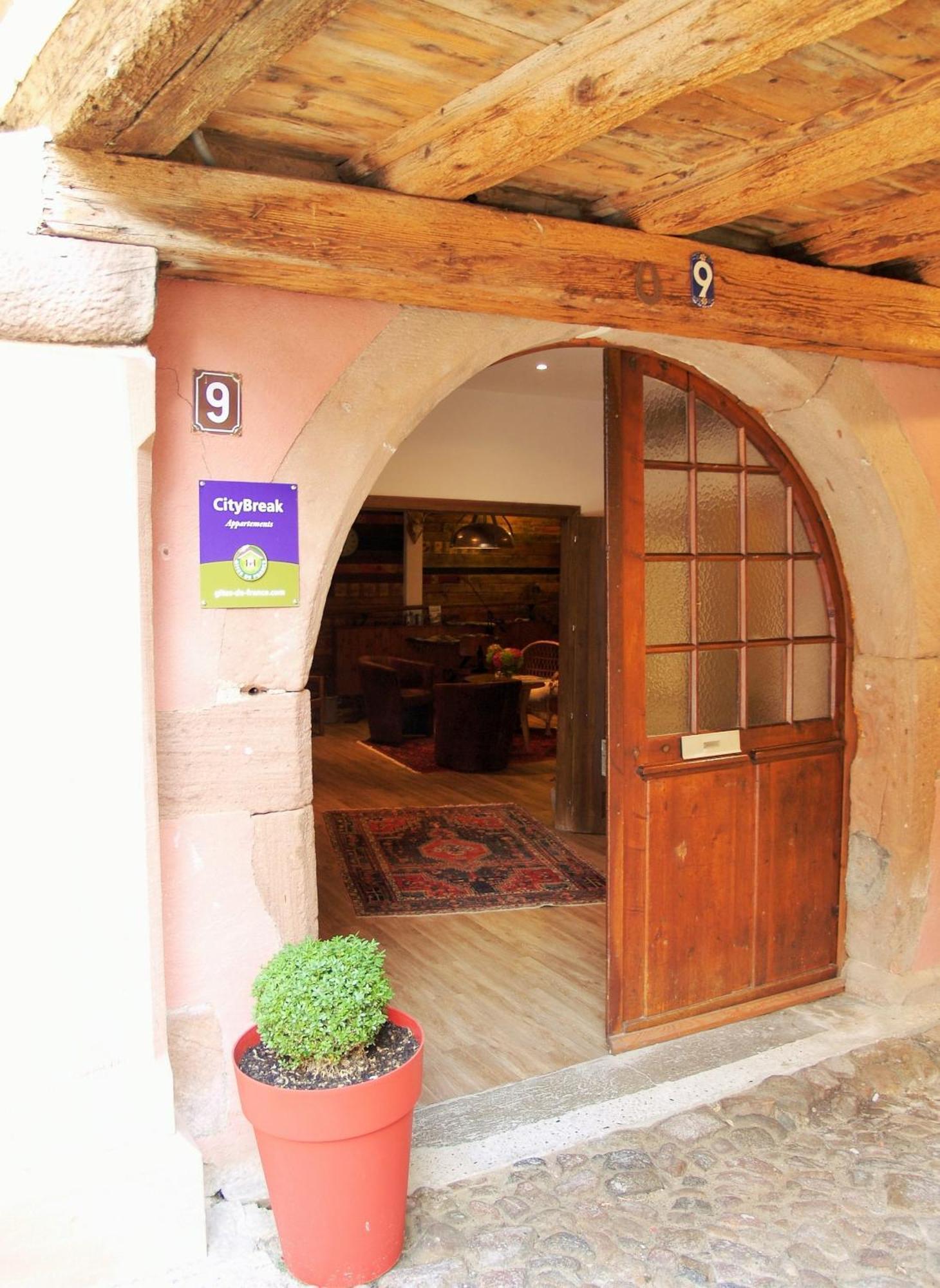 Les Appartements De Louise Riquewihr Esterno foto